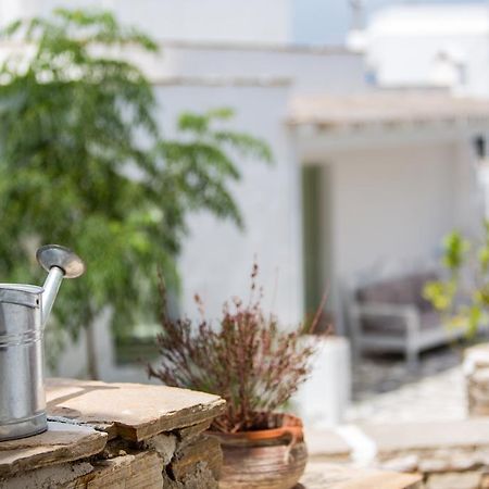 Nastasia Village Naxos City Ngoại thất bức ảnh