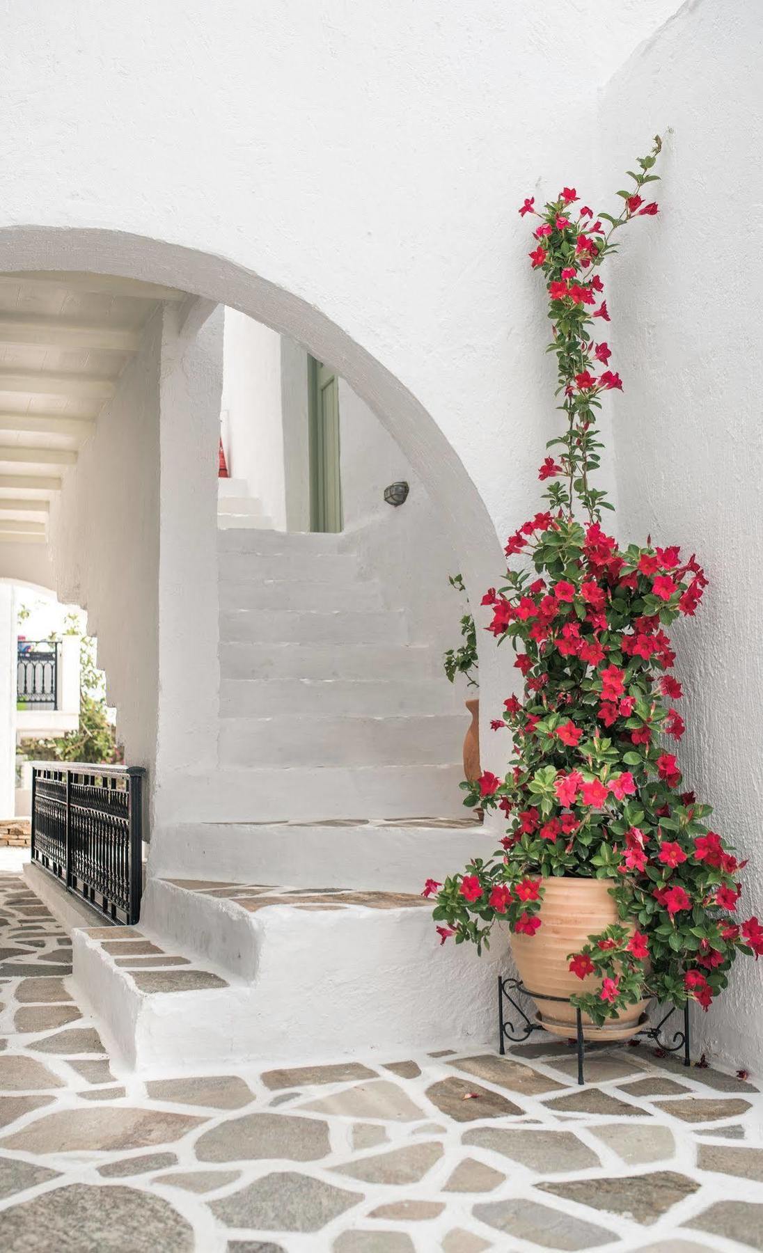 Nastasia Village Naxos City Ngoại thất bức ảnh